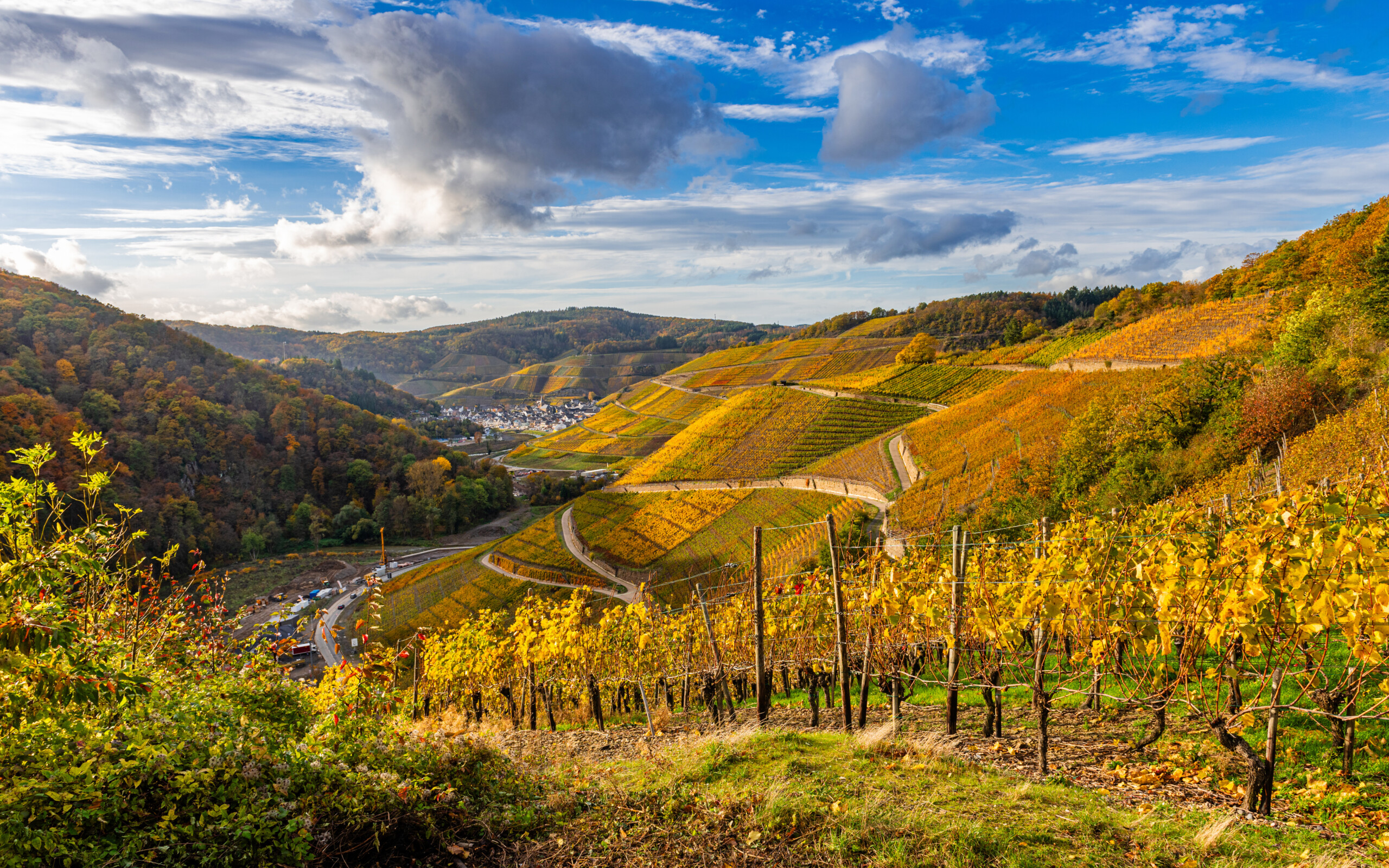Ahr – najmniejszy region Niemiec, który podbił świat czerwonymi winami